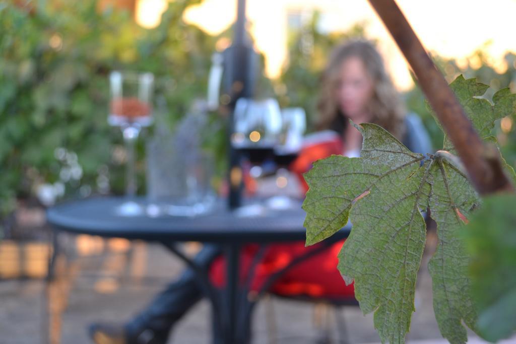 Chardonnay Lodge Napa Ngoại thất bức ảnh