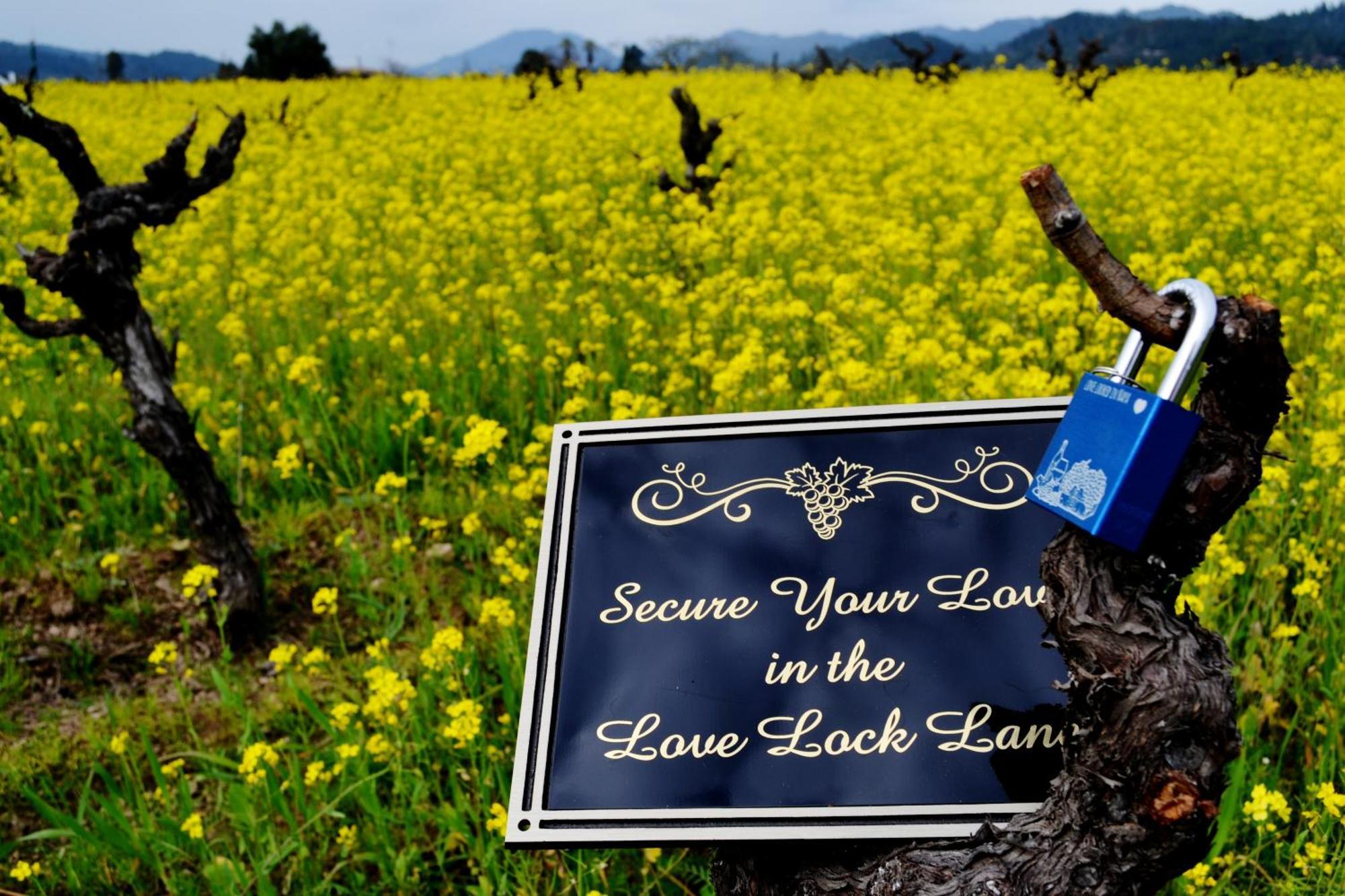 Chardonnay Lodge Napa Ngoại thất bức ảnh