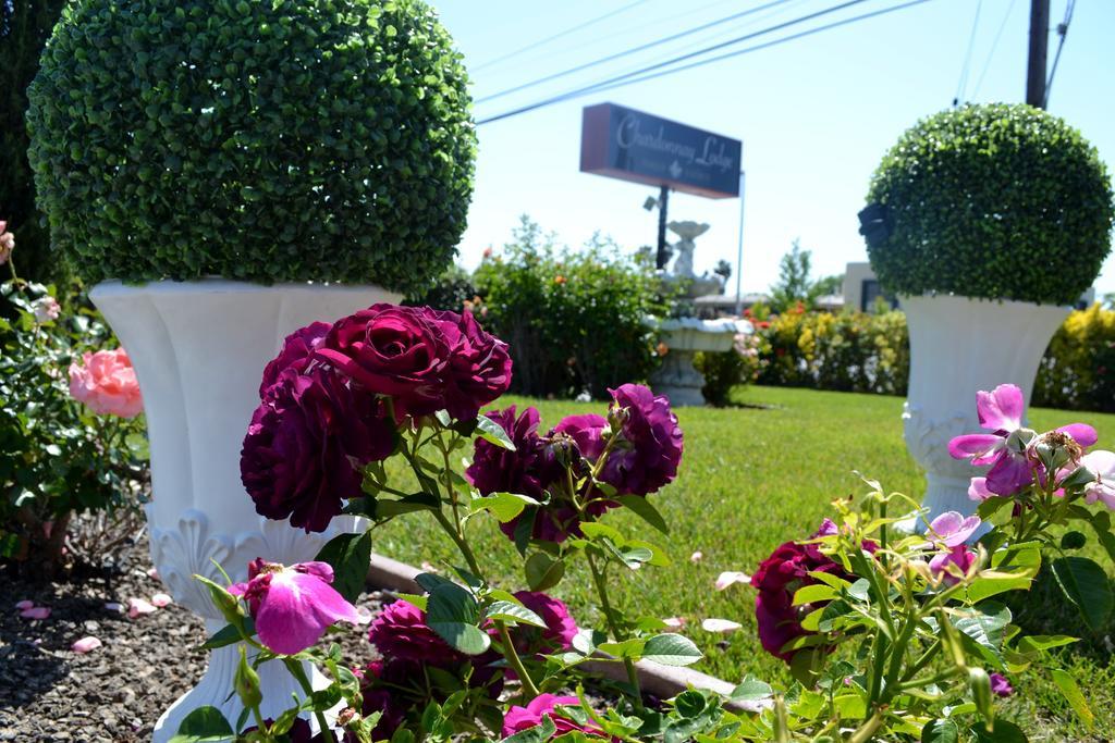 Chardonnay Lodge Napa Ngoại thất bức ảnh