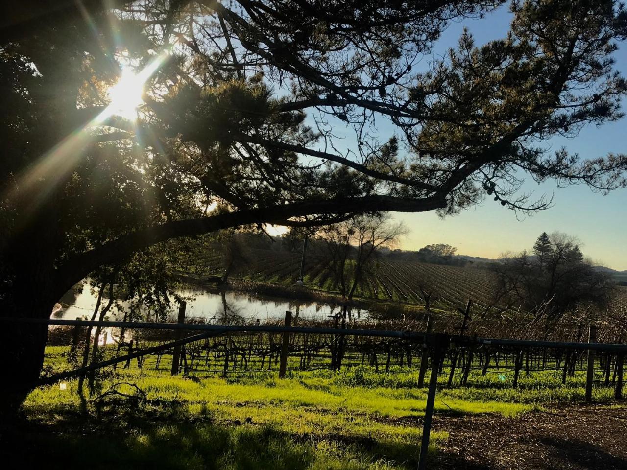 Chardonnay Lodge Napa Ngoại thất bức ảnh